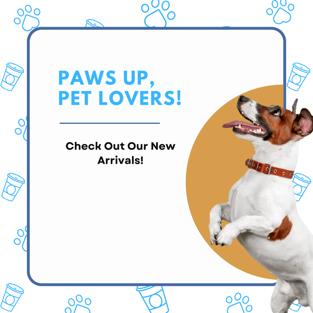 These Items Just Arrived