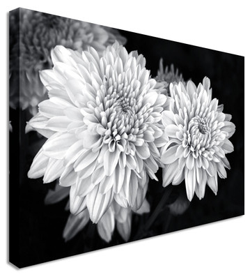 Chrysantheme Schwarzweiß Blume Leinwand Wandbild Bild Druck