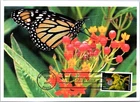 Dr Jim Stamps Maximum Card Protect Pollinators Monarch Butterfly Forever Fdc