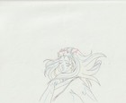 The Twelve Kingdoms Juuni Kokki Genga Douga Original Sketches Pierrot - Youko — photo 1