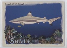 2021 Topps Allen & Ginter's Deep Sea Shiver Blacktip Shark #DSS-8 y0i
