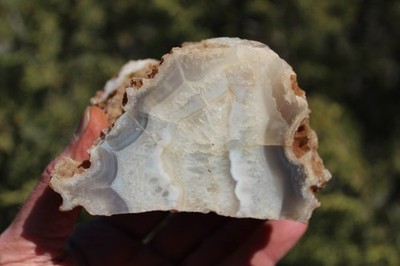 BEAUTIFUL - MINERAL - LUNA  AGATE - Catron County, New Mexico - NICE!