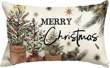 Merry Christmas Eucalyptus Red Berries Throw Pillow Cover, 12 X 20 Inch Winter H