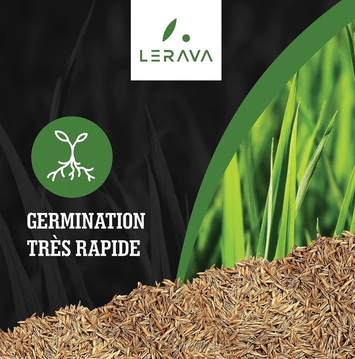 Gazon Pelouse Semer 10m2 250g Vert Vif Jardin Semence Naturel Croissance Rapide - Photo 2/4