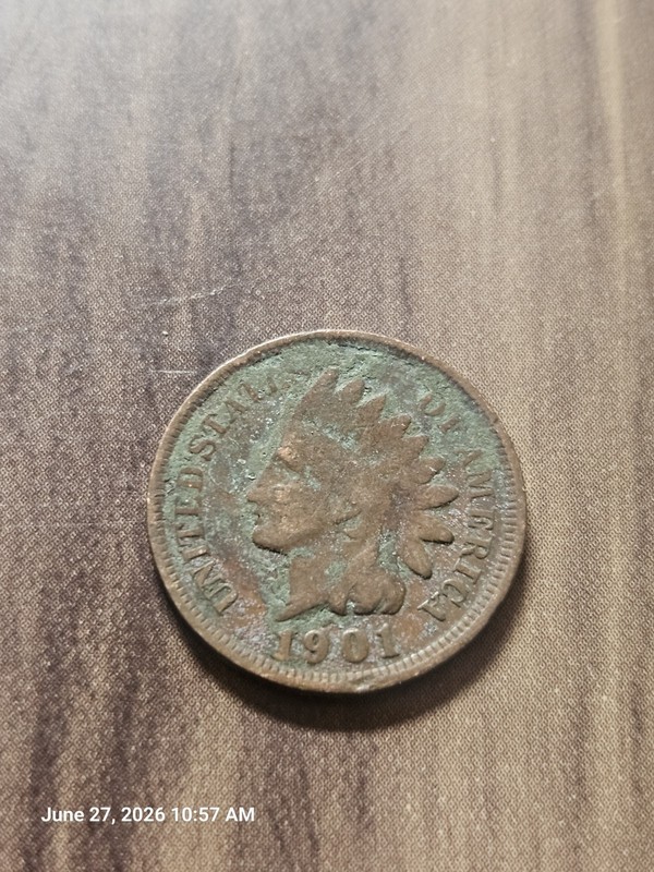 1901 Wheat Penny Ungraded