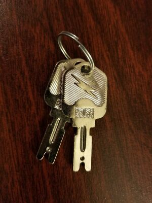 FOR Cat FOR Gehl Pollak Equipment Starter Switch Key 073694 6T2663 New Qty. 2