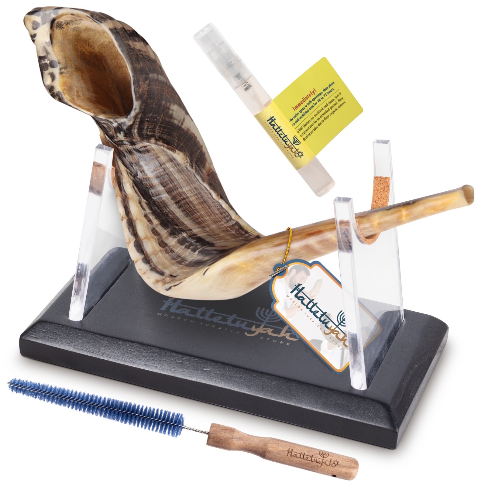 HalleluYAH Kosher Ram Horn Shofar - Made In Israel with decorated stand