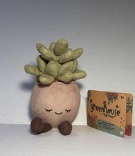 Greenhouse By Russ 6 in Riley The Succulent Plush NWT