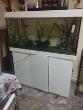 Juwel Rio 240 Acquario - Bianco