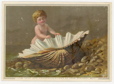 1880s-90s Cherub Infant Giant Sea Shell Clam Beach Greeting Victorian Card #8H