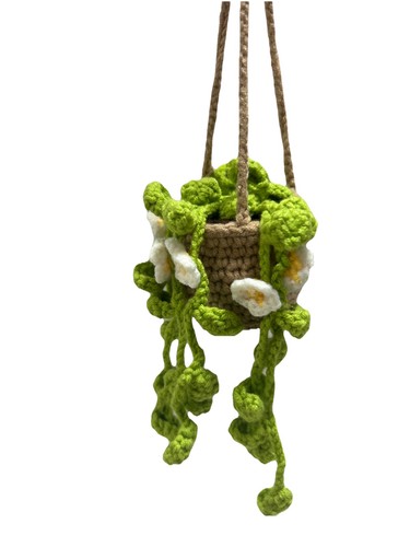Crochet Hanging Plant for Car, Cute Car Plantccessories, Knitted Plant Car A