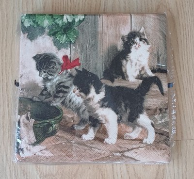 Easy Life Italien Kätzchen Treffen Katze Servietten x20 Weihnachten Geschirr NEU & VERSIEGELT