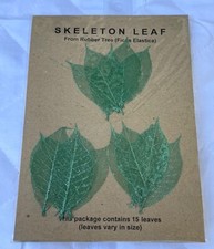 15 Vtg Rubber Tree Skeleton Leaves Scrapbooking Crafts Card Making  EMERALD
