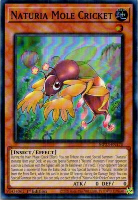 Naturia Mole Cricket #MP23-EN170 Near Mint or Better