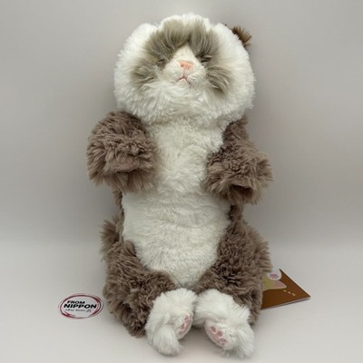 New Sun Lemon Sleeping Lap Cat Small Ragdoll GYBR 15 x 12 x 34cm Plush Animal