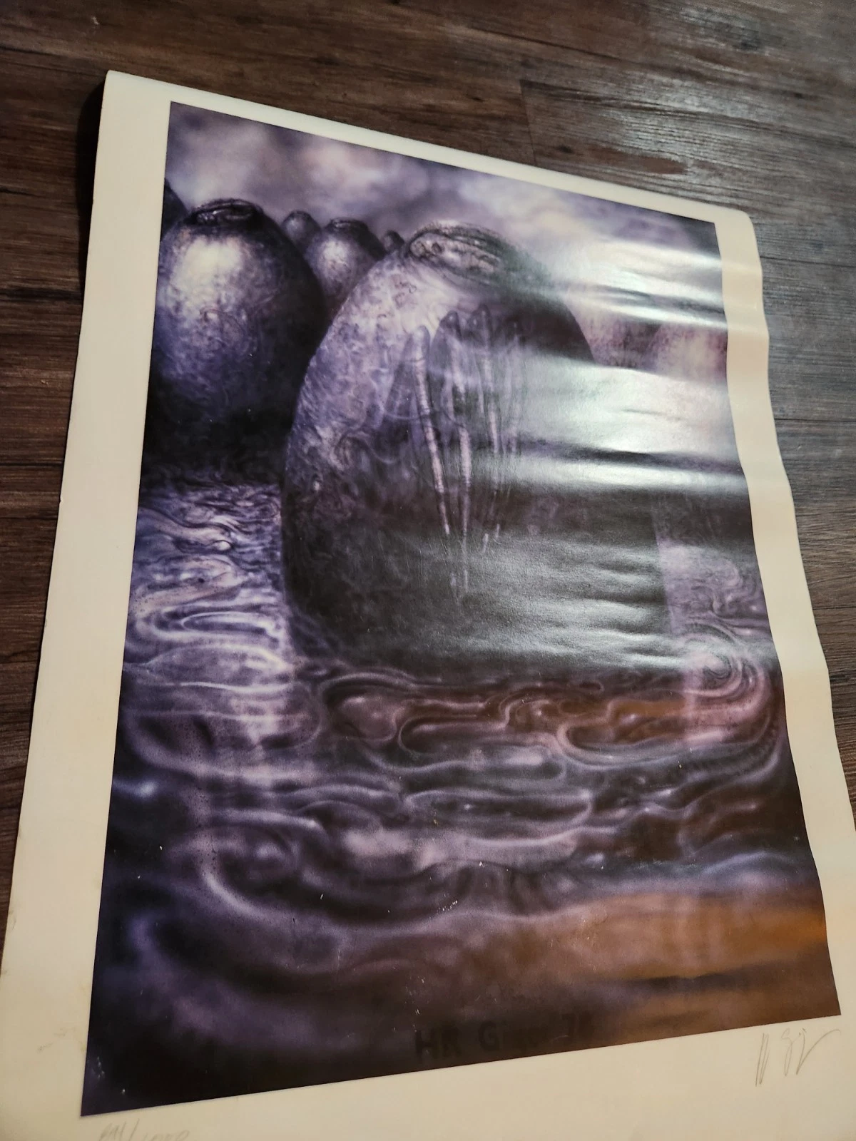 Picture 4 of 5