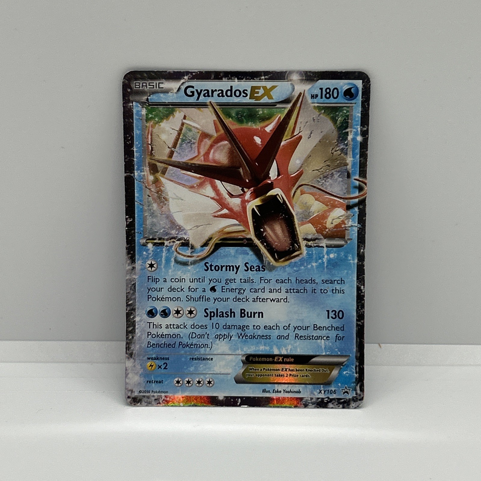 Pokemon XY Promos Gyarados EX (P) #XY106 (Holo) NM