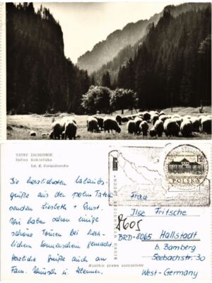 Old postcard AK POLAND TATRY ZACHODNIE Dolina Koscieliska (371671)