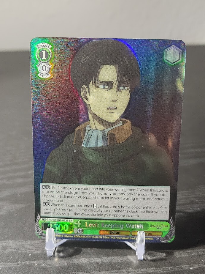 Levi Keeping Watch AOT/SX04-SR Attack on Titan Final Season Weiss