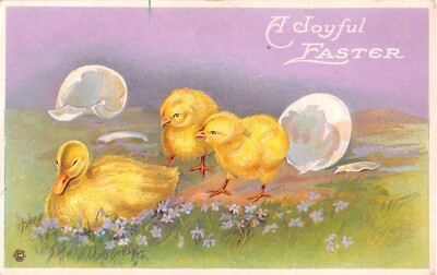 Cute Chicks Hatching by a Duckling on Old Stecher Easter Postcard - Series 812 C