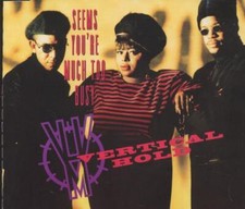 Vertical Hold: Seems You're Much Too Busy PROMO MUSIC AUDIO CD 9 track remixes!