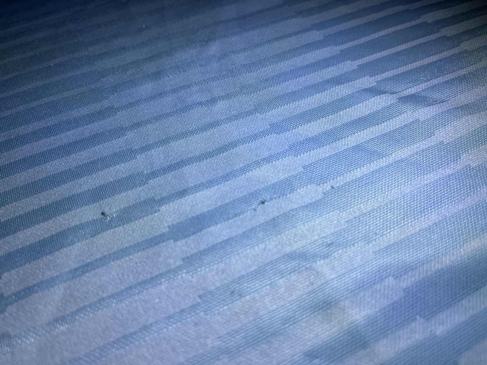 Picture 4 of 10