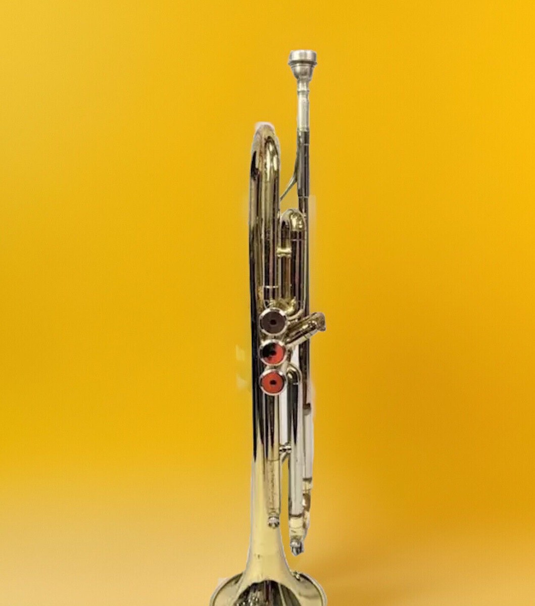 Yamaha YTR 2320 Student Bb Trumpet in Travel Case | eBay Yamaha YTR 2320 Student Bb Trumpet in Travel Case | eBay