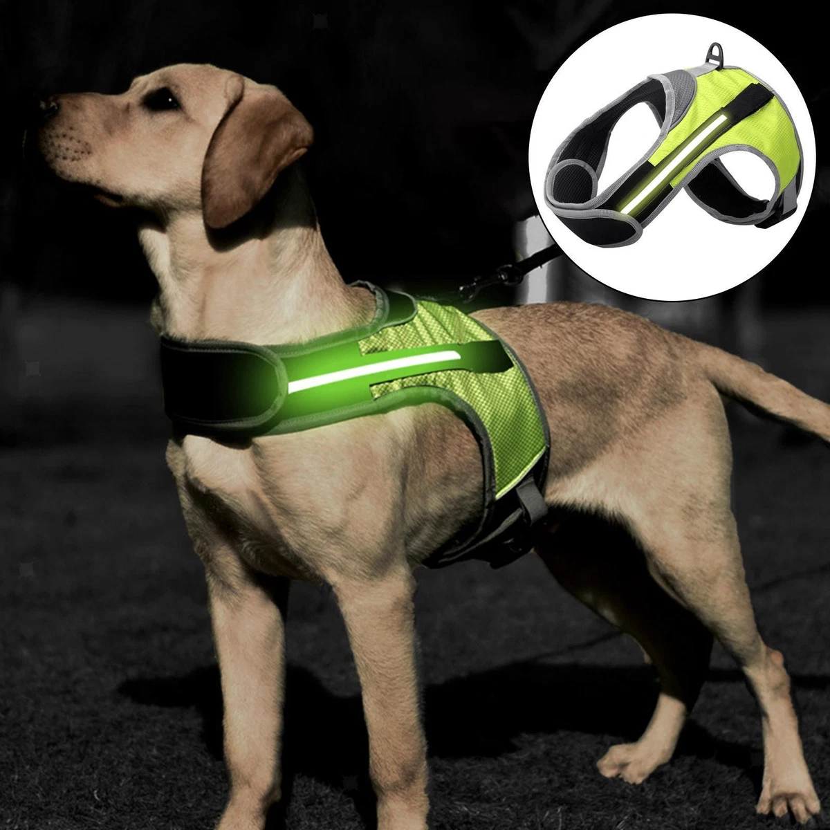 Lighted deals dog vest