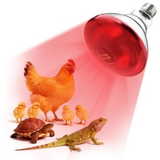 250W Heat Lamp Bulbs 1 Pack Infrared Heat Lamp for Chickens with E26 Socket a...