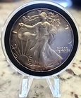 1999 American Silver Eagle Uncirculated 1oz .999 Fine Silver