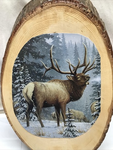 Vintage Darien Lake Fun Country Wooden Plaque Moose in Snow 9x6 - Bild 3 von 15