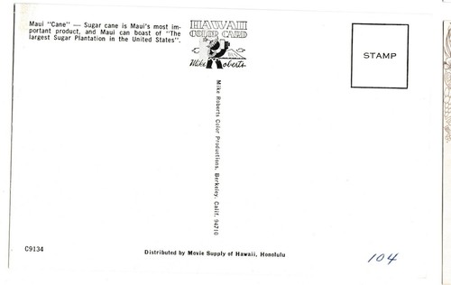 2 Men at MAUI SUGAR CANE Field Largest Plantation Agriculture Hawaii HI Postcard - Picture 2 of 2
