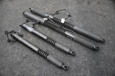 Set 4 Rear Left Door Lift Shock Strut Cylinder 1063440-01-C Tesla Model X 2016