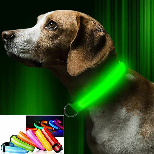 Bling Blinkers Pet Safety Lights Goldenacresdogs Bling Blinkers Pet Safety Lights