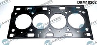 Dr.Motor Automotive DRM18202 Dichtung FüR Zylinderkopf Dichtung