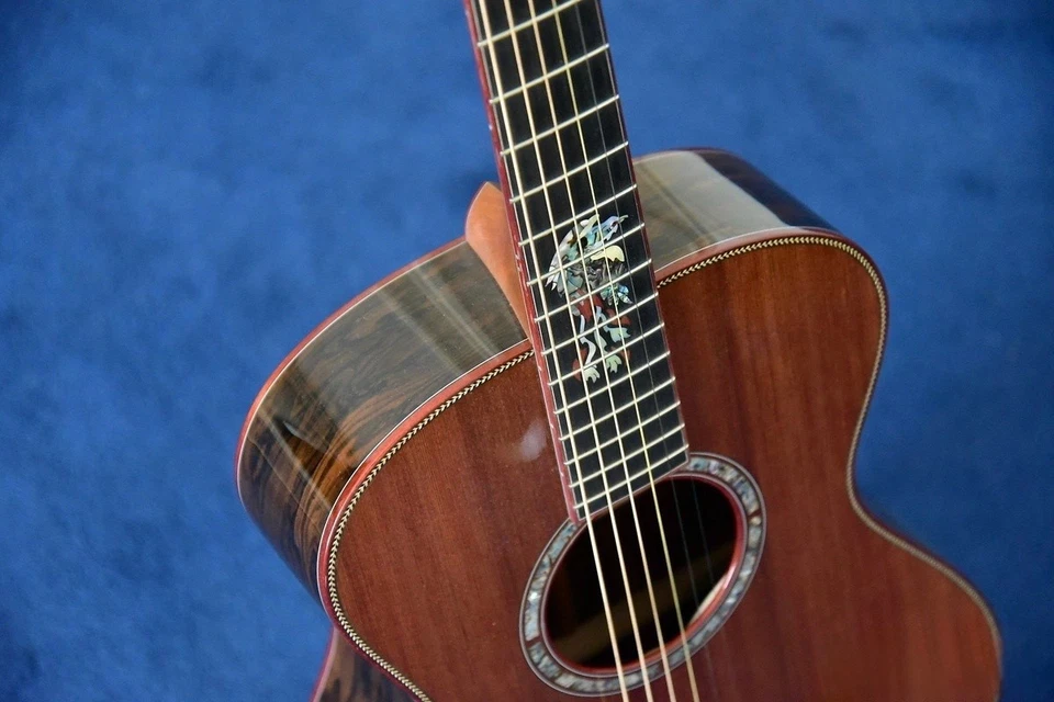 Breedlove Phoenix Masterclass Ziricote 2010 - Redwood Foto 4 de 4