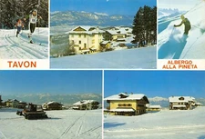22-75A) TAVON ALBERGO ALLA PINETA VEDUTINE TRENTO