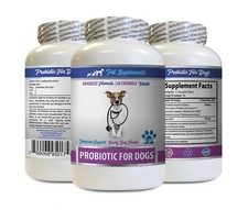 dog breath treats - DOG PROBIOTICS - dog probiotics digestive enzymes bites 1B