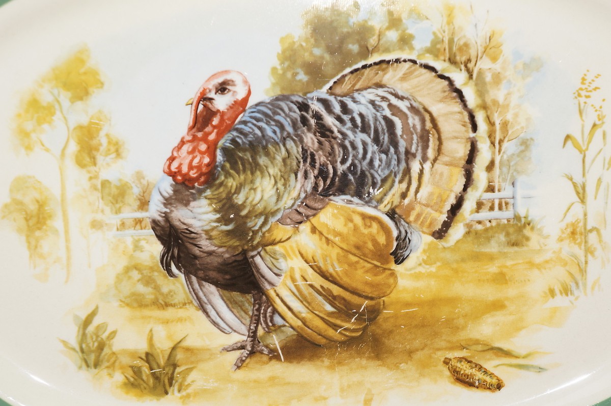 Taylor Smith Taylor Conversation Green TURKEY TST192 Platter, 13 3
