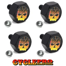 4 Black Billet License Plate Frame Hex Bolts For Harley - HOT ROD SKULL G