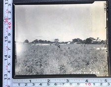 Airborne Parachute Troops in Field Landing Vintage Military Photo Snapshot 1