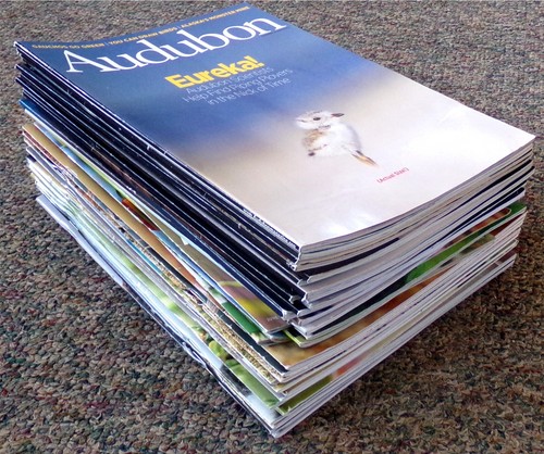 VOGEL MAGAZIN LOT (35x) 2010-2024 Audubon, Birds & Blooms, Living Bird (Cornell) - Bild 7 von 7