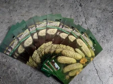 Beliy Angel Seeds / White Angel Seeds 