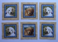Cotton Fabric 6 Sqs - Left a Right White,Brown Dogs, Blue 2 7/8" L x 2 7/8"W