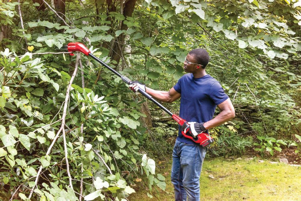20-volt 8-in Cordless Electric Pole Saw 