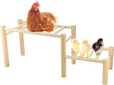 Chicken Perch - Roosting Ladder for Chicken Coop - Jungle Gym  Toys for Poultry