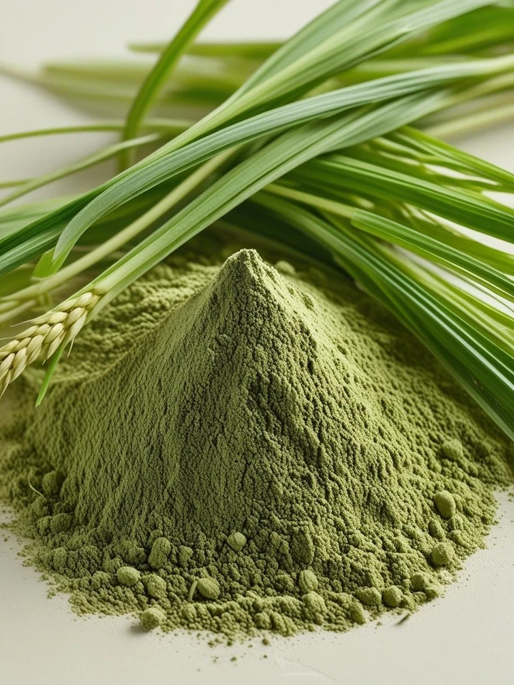 10 kg | Bio Gerstengraspulver | GMO Frei | Rohkostqualität | Gerstengras - Bild 3 von 3