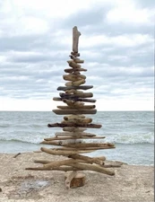 Genuine Hand Crafted Lake Erie Driftwood Tree  ~  3 ft. - 3 1/2 ft. Tall. ~ 
