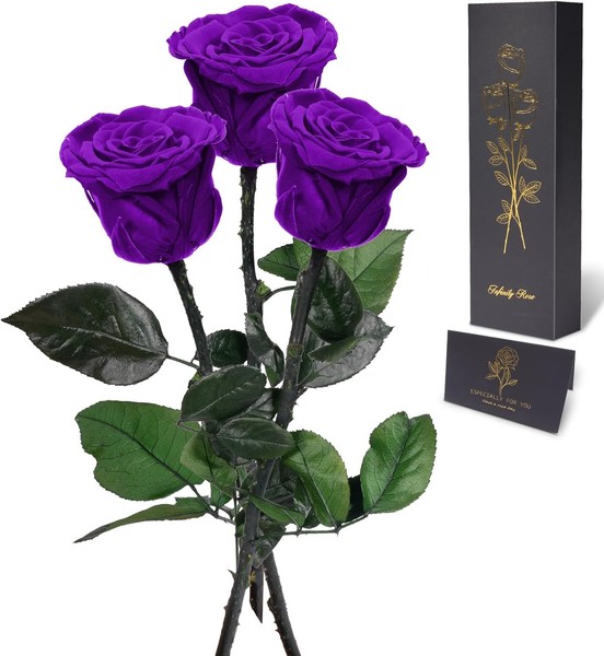 Ewige Rose Mit Stiel In Geschenkbox Konservierte Blumen Muttertagsgeschenk FüR-image