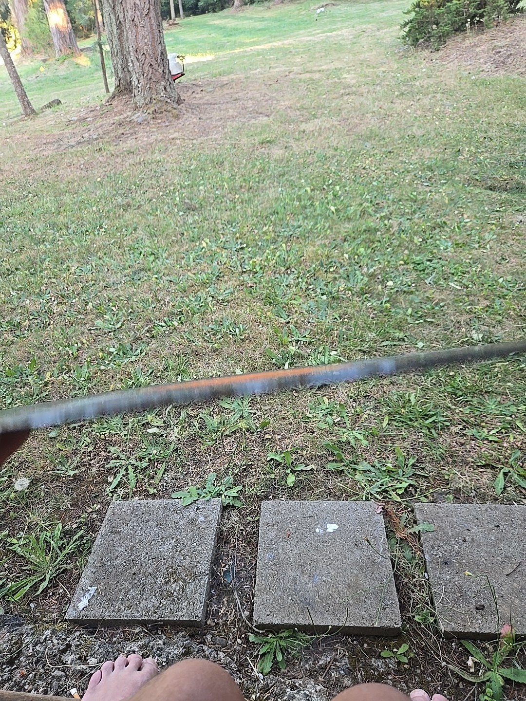 Picture 6 of 6